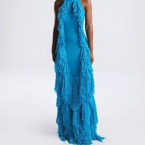 Brand new hanifa fringe dress